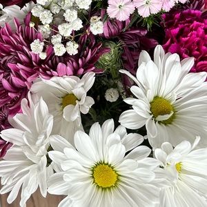 Meet your Posher, Rayya